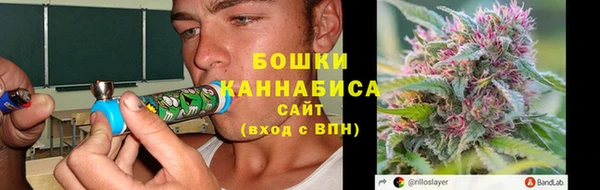 ECSTASY Майский