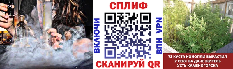 Бошки марихуана марихуана Назрань